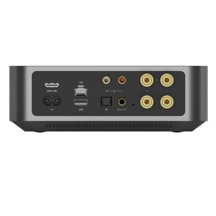 WiiM AMP | Audio Streaming - 2-channel Class D Amplifier with +60W | SONXPLUS Victoriaville
